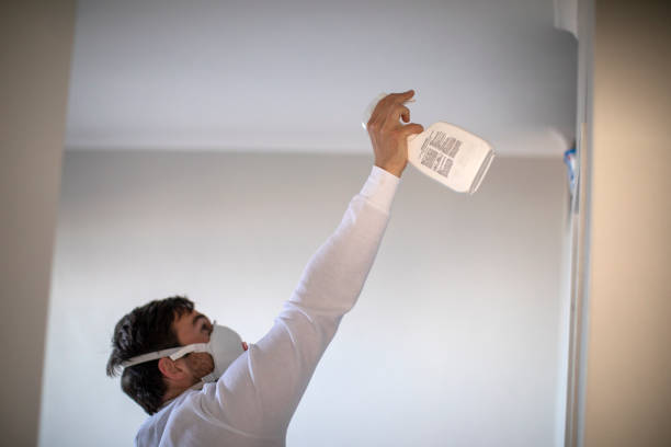 Best Office Mold Removal Services  in Sussex, NJ