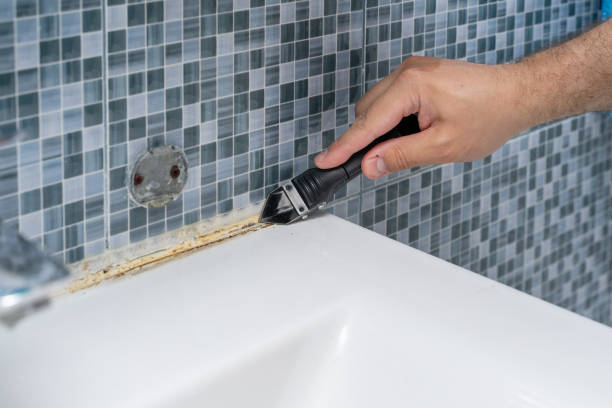 Mold Removal Process in Sussex, NJ